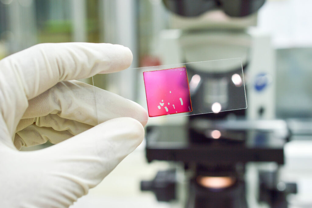 High-Quality Tissue Specimens for Research | Boca Biolistics